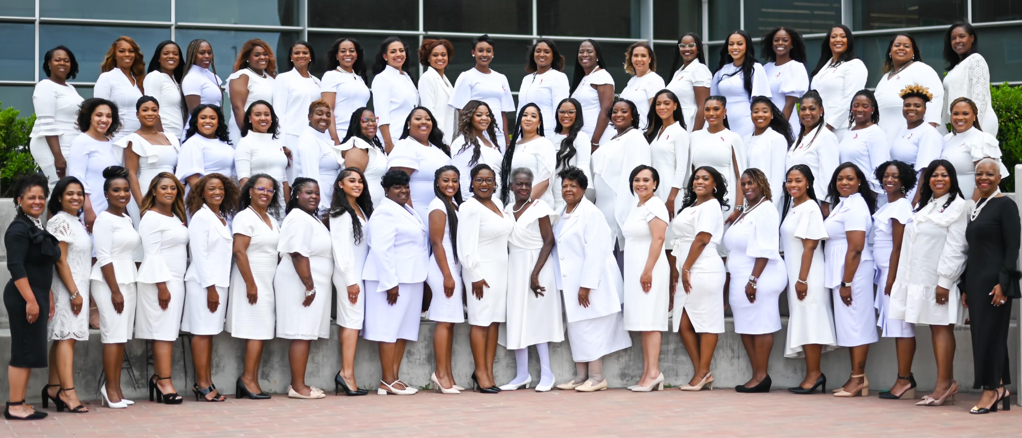 East HCLC Alumnae Chapter Inaugural Line dressed in white